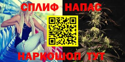 альфа пвп Краснознаменск